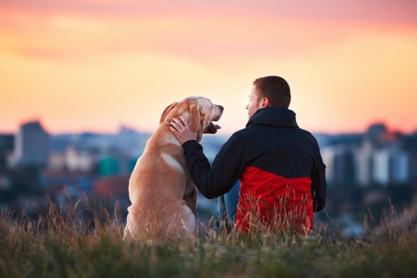 A person and a dog sitting on a field, overlooking a sunset.